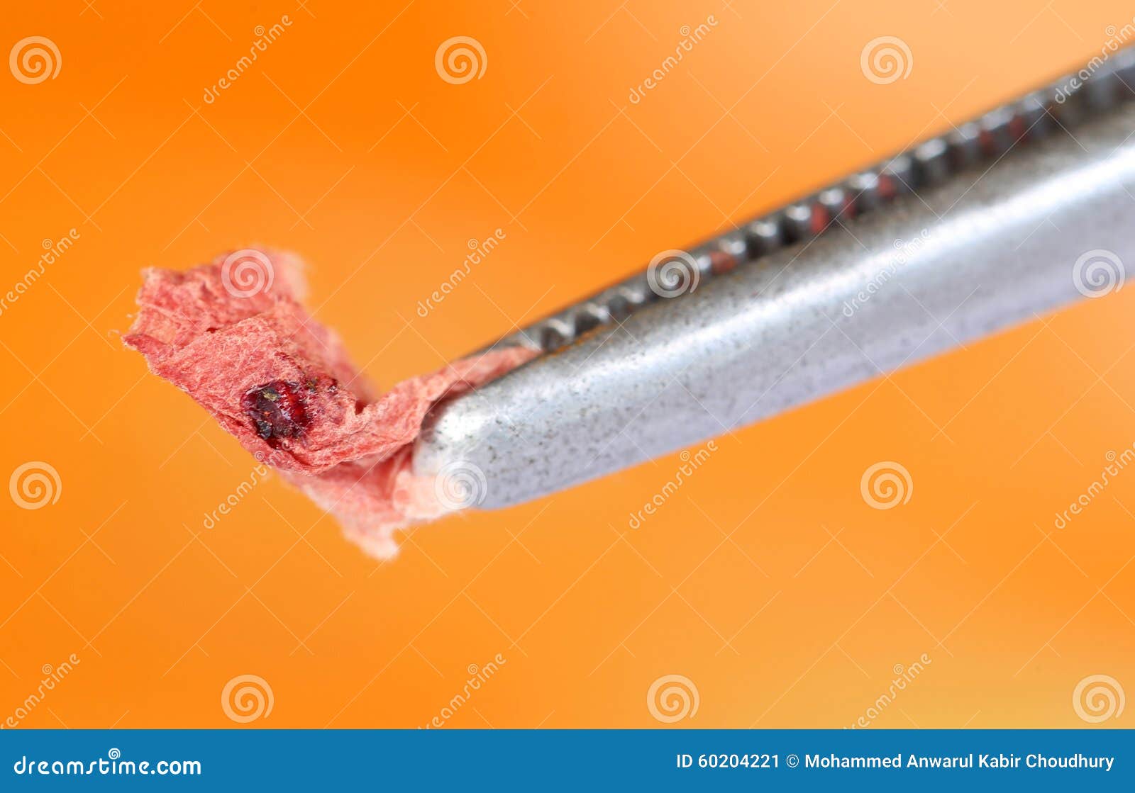 Blood in tissue paper stock image. Image of expert, forensics 60204221