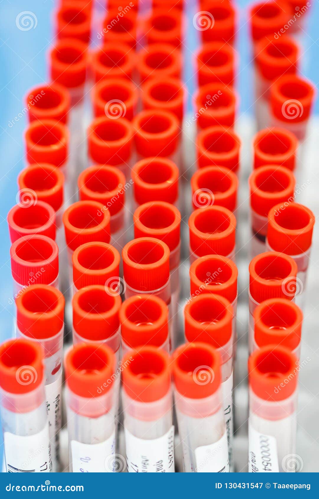 Blood Tube in the Medical Research Process Stock Image Image of