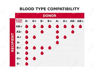 Blood Type Compatibility Chart Table With Blood Groups Crossing Possible Combinations Of