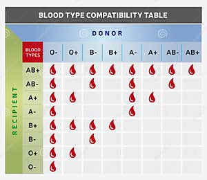 Blood Group Types And Donation Chart