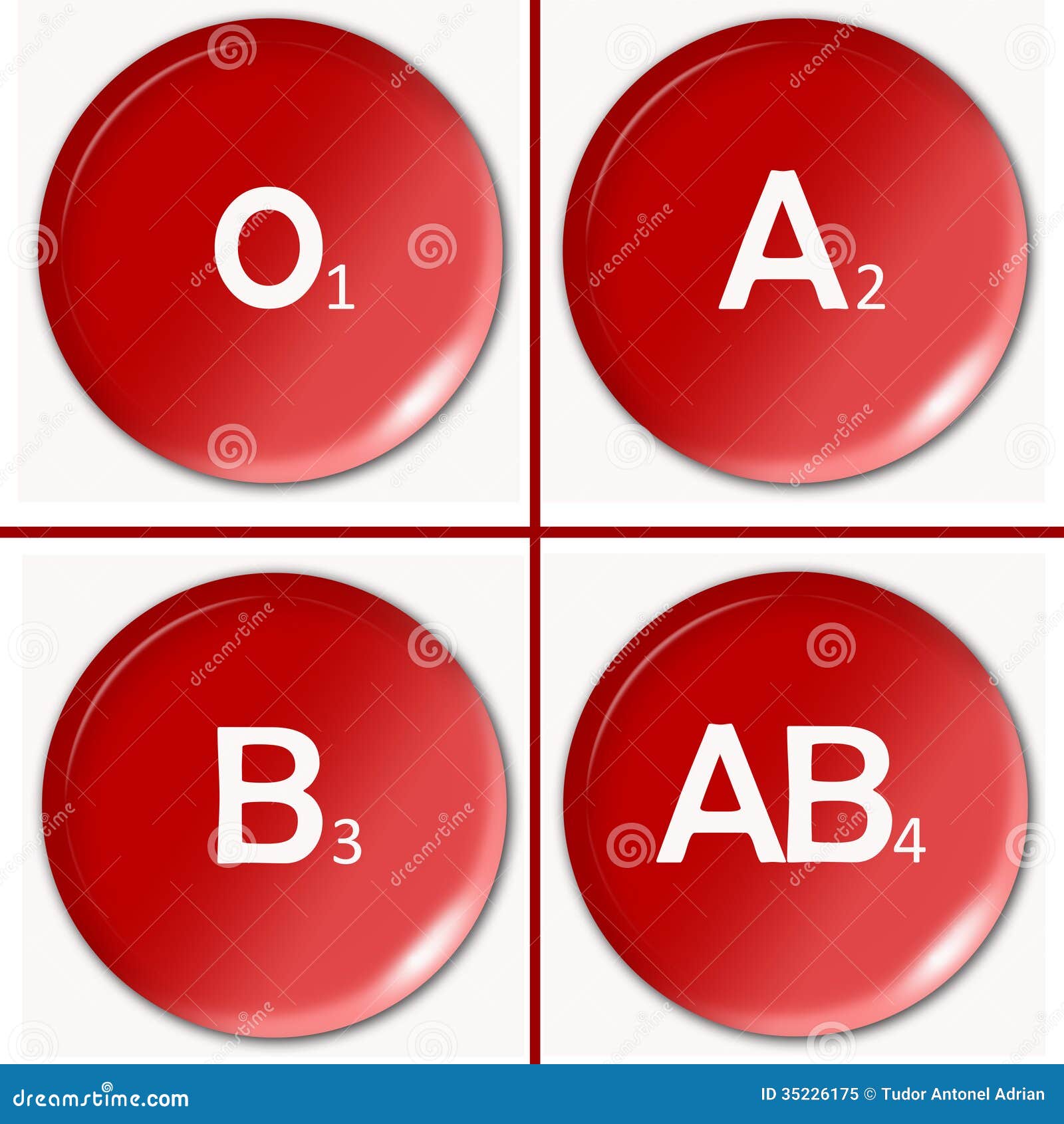 Human Blood Types Chart