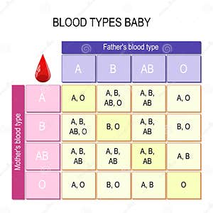Genotype Chart For Blood Types