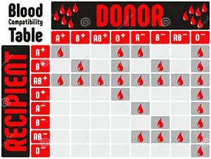 Blood Types Compatibility Table With All Blood Groups Stock Vector Illustration Of Hospital