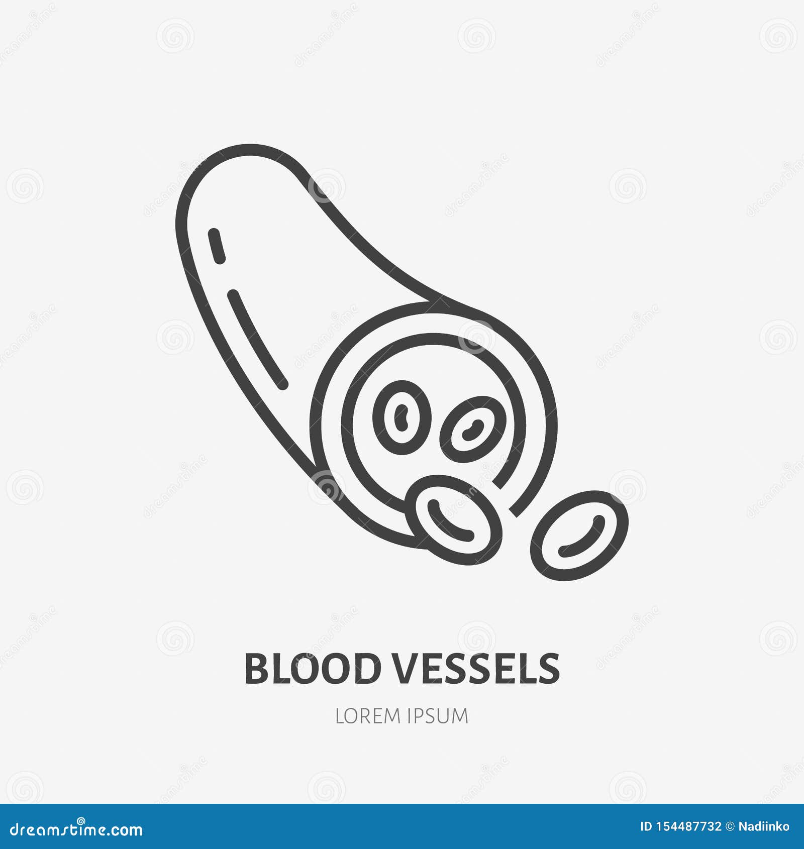blood vessel flat line icon.  thin pictogram of vein with molecules, outline  for hematology clinic