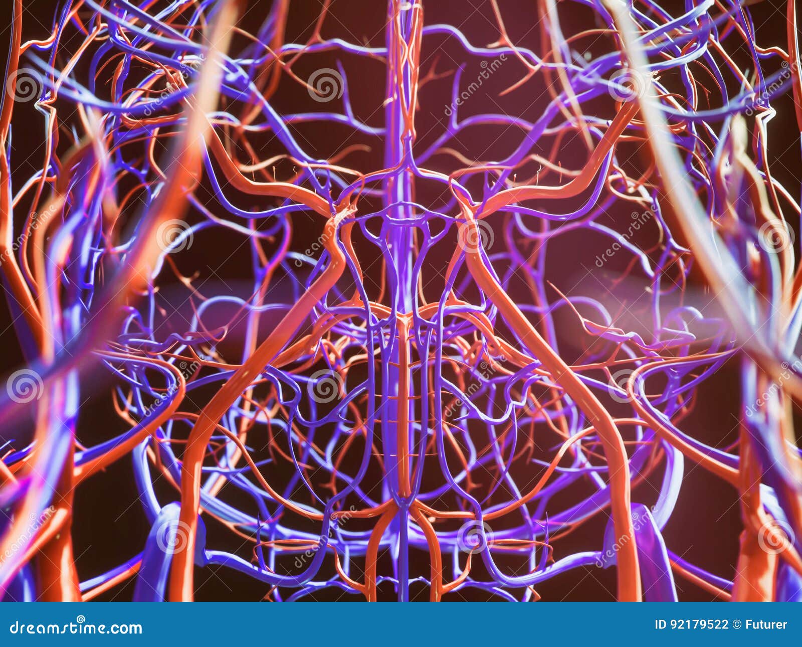 Blood Vessels of a Human - 3D Rendering Stock Illustration