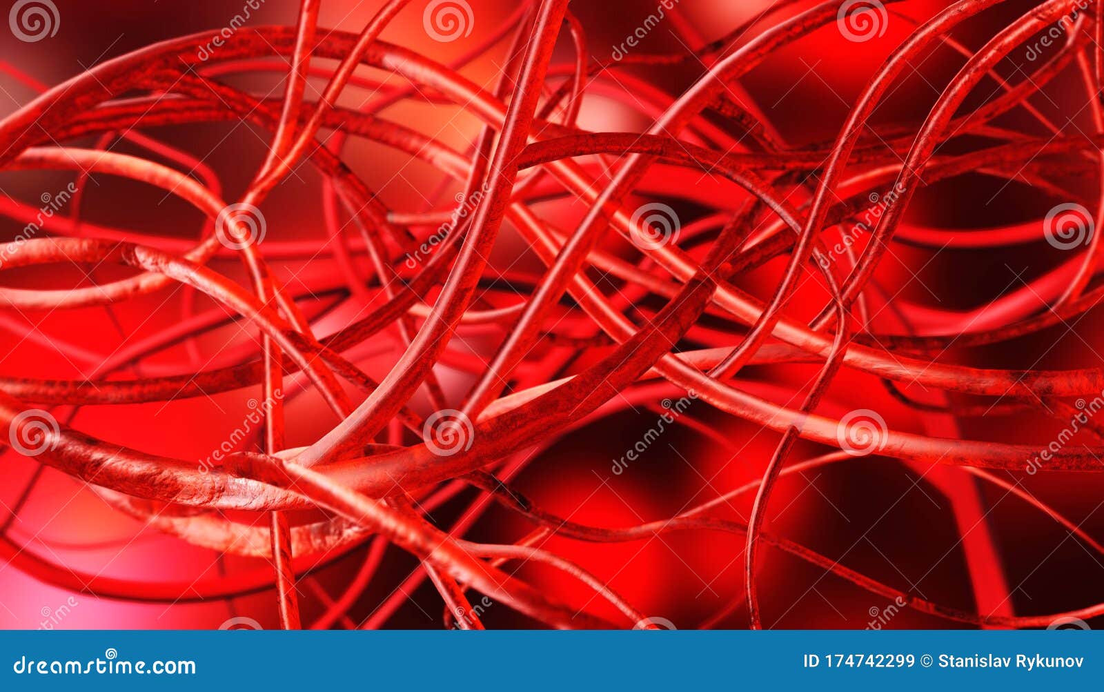 Blood Circulatory System Of Human Body Cartoon Vector | CartoonDealer