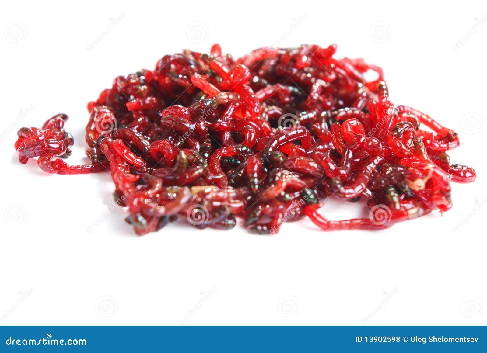 download bloodworms near me download bloodworms near me