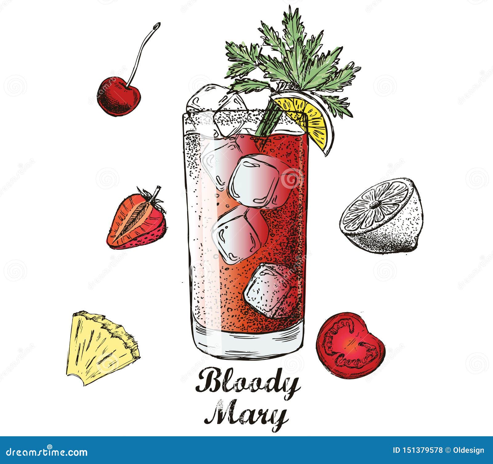Bloody Mary Cocktail Hand Drawn. 