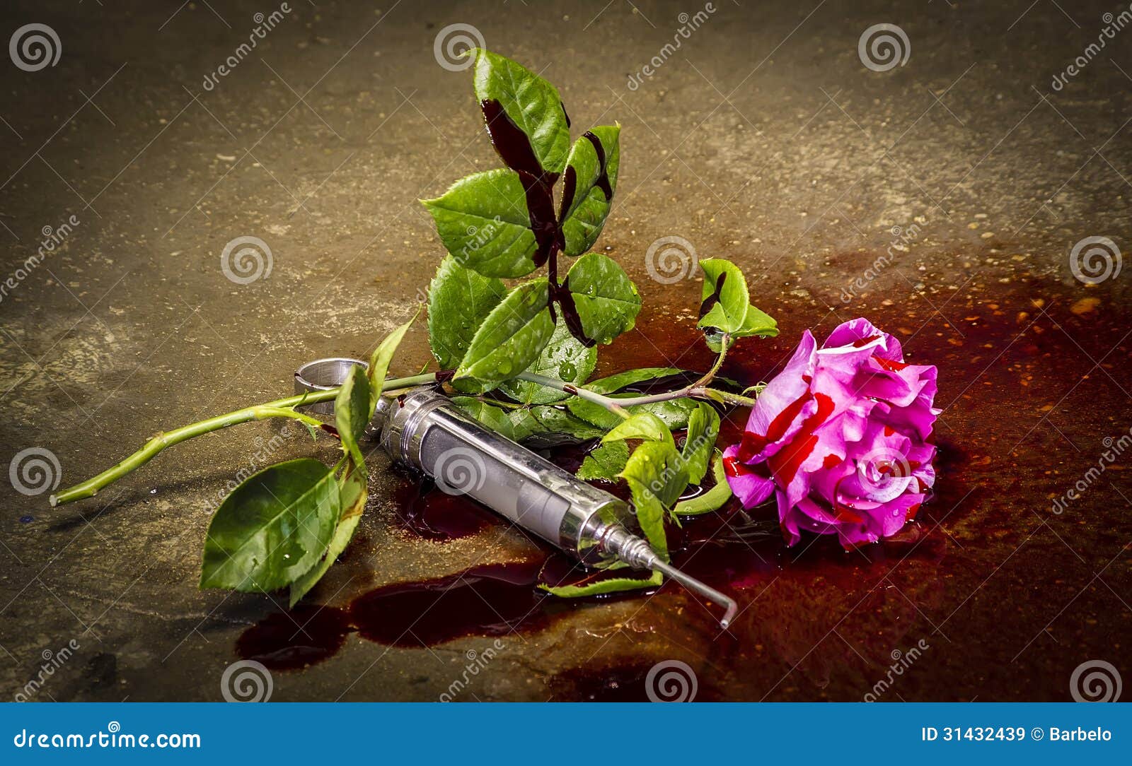 Bloody rose stock image. Image of pink, pure, valentine 31432439