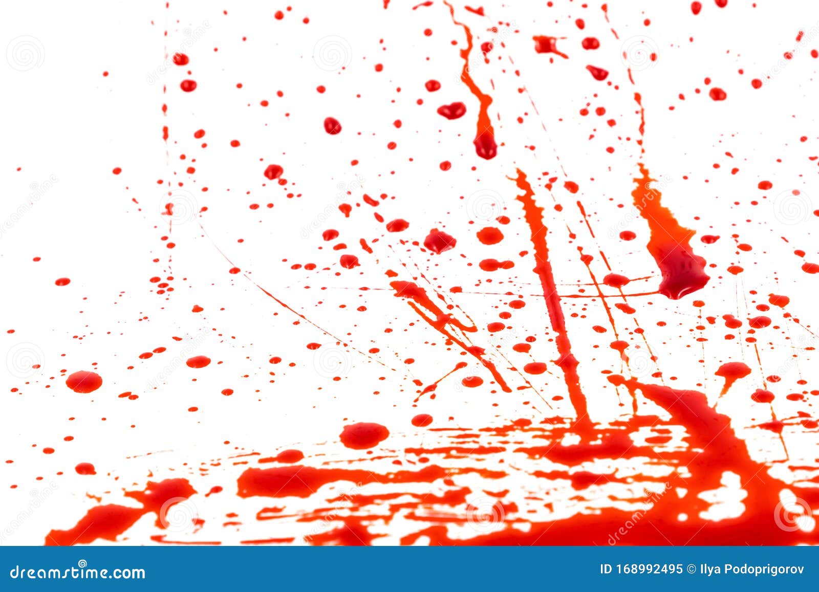 Bloody Splashes and Drops on a White Background. Dripping and Following Red  Blood Paint Stock Image - Image of drop, horror: 168992495