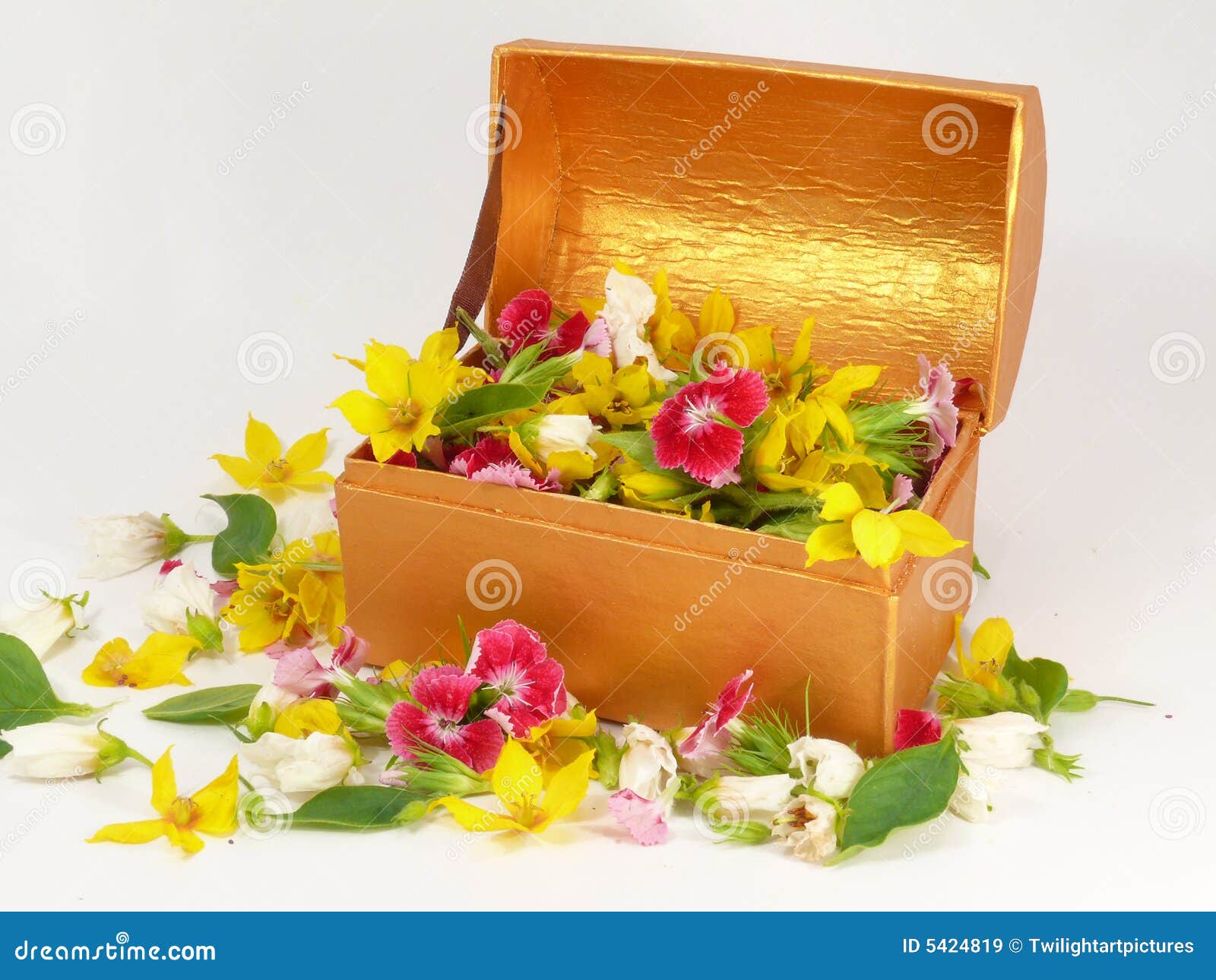 Golden chest hi-res stock photography and images - Alamy