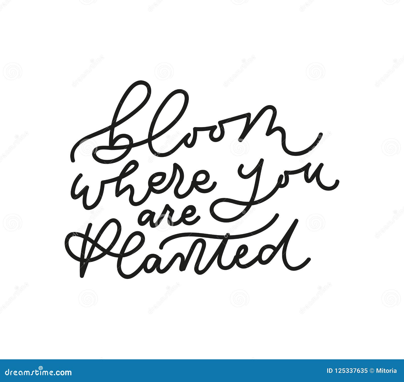 bloom where you are planted inspirarional lettering inscription