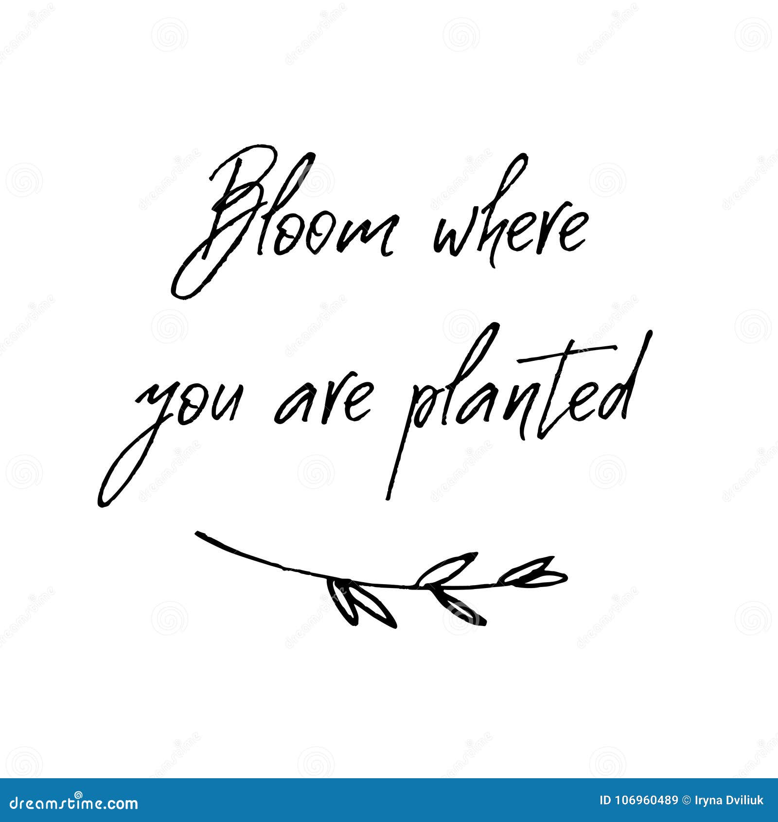 bloom where you are planted. inspirational and motivational handwritten lettering quote.