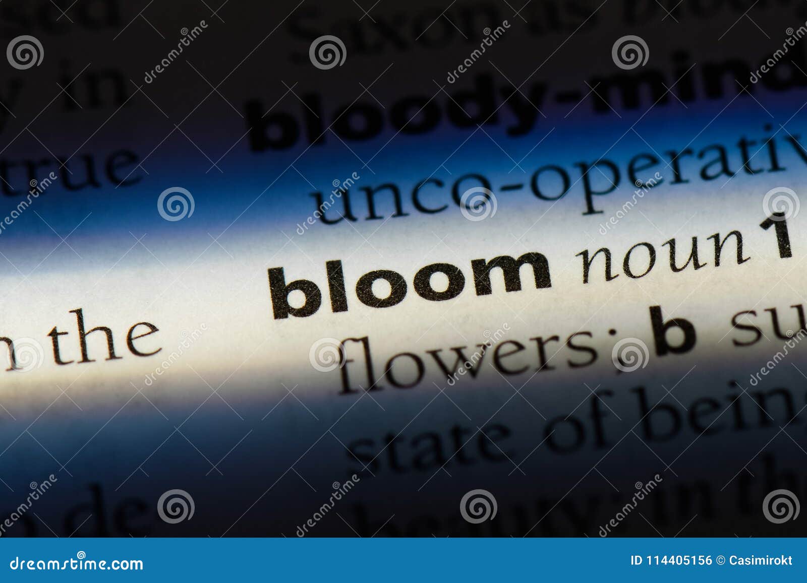 Bloom stock photo. Image of info, dictionary, definition 114405156