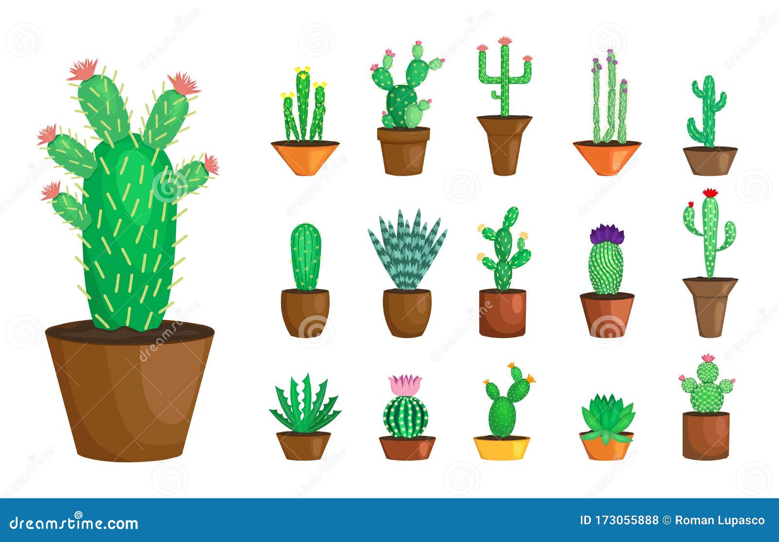 Blooming Cactus. Cactus with Flower. Cactus in Pot Stock Vector - Illustration of cactus, natural: 173055888 Blooming Cactus. Cactus with Flower. Cactus in Pot Stock Vector - Illustration of cactus, natural: 173055888