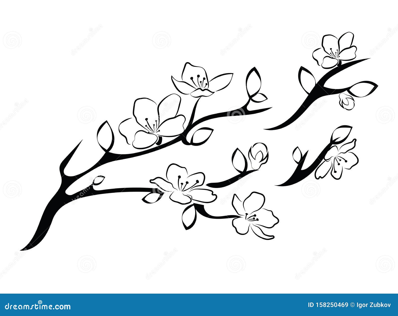 Cherry Blossom Tree : r/drawing