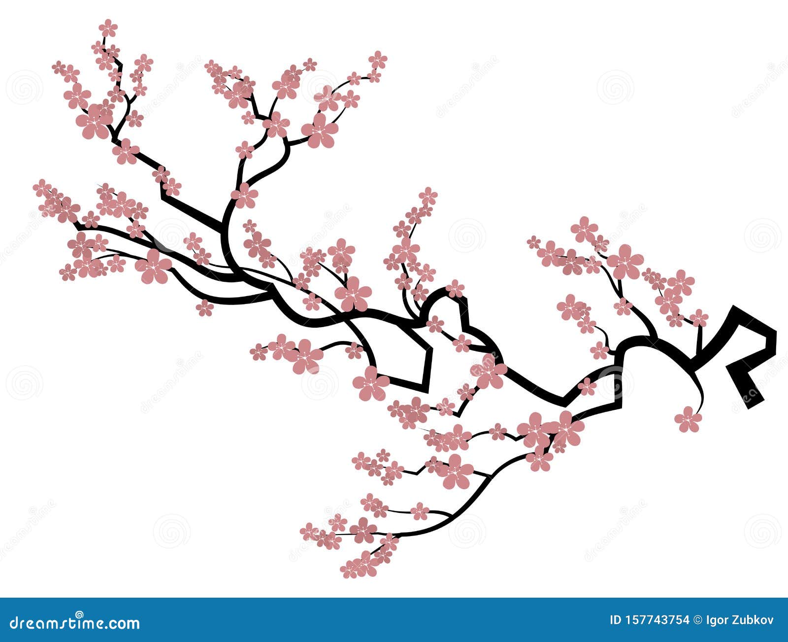 Blooming Cherry Sakura Branch With Flower Buds Cartoon Drawing Of A Blossoming Tree In Spring Logo With Japanese Stock Vector Illustration Of Background Leaf 157743754