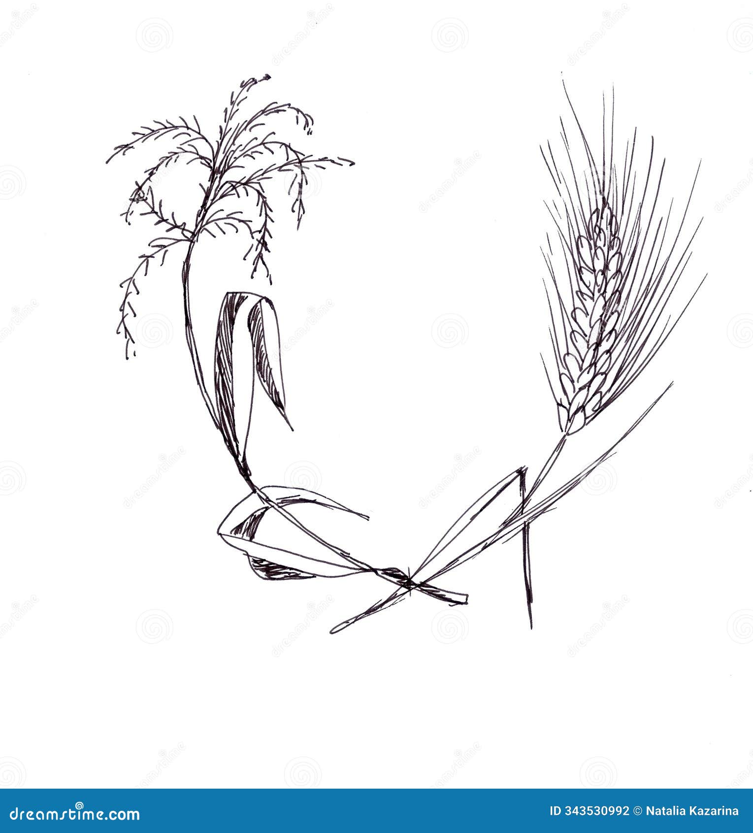 blooming corn and wheat colossus, copy space, graphic black and white sketch