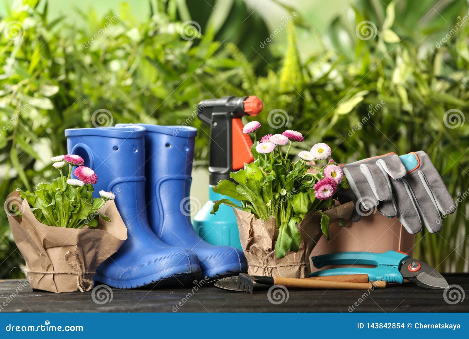 Blooming Flowers and Gardening Equipment on Table Stock Photo Image