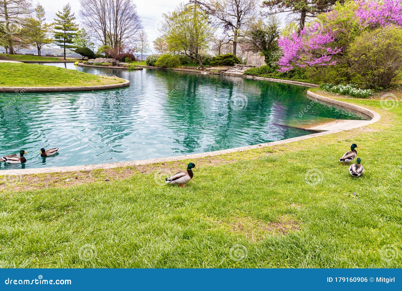 Blooming Flowers and Trees in Spring in Eden Park, Cincinnati Stock