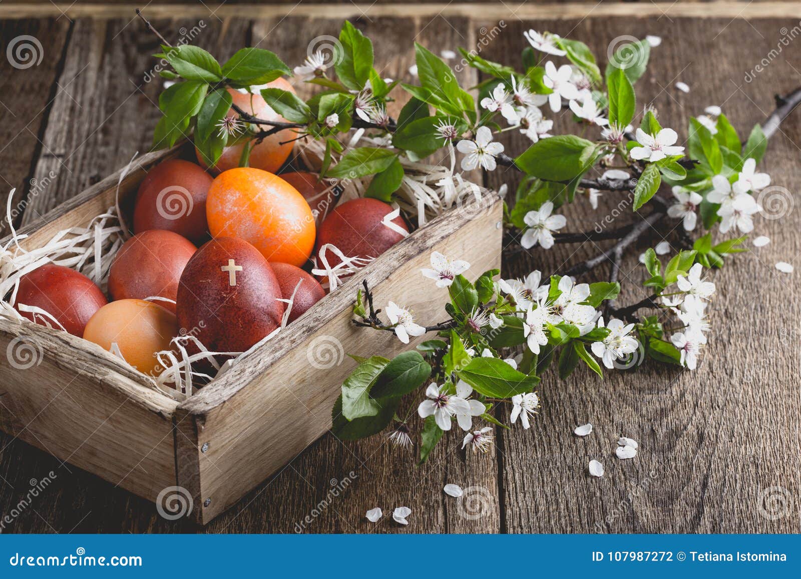 Blooming Plum Twigs and Easter Eggs Stock Photo Image of leaves