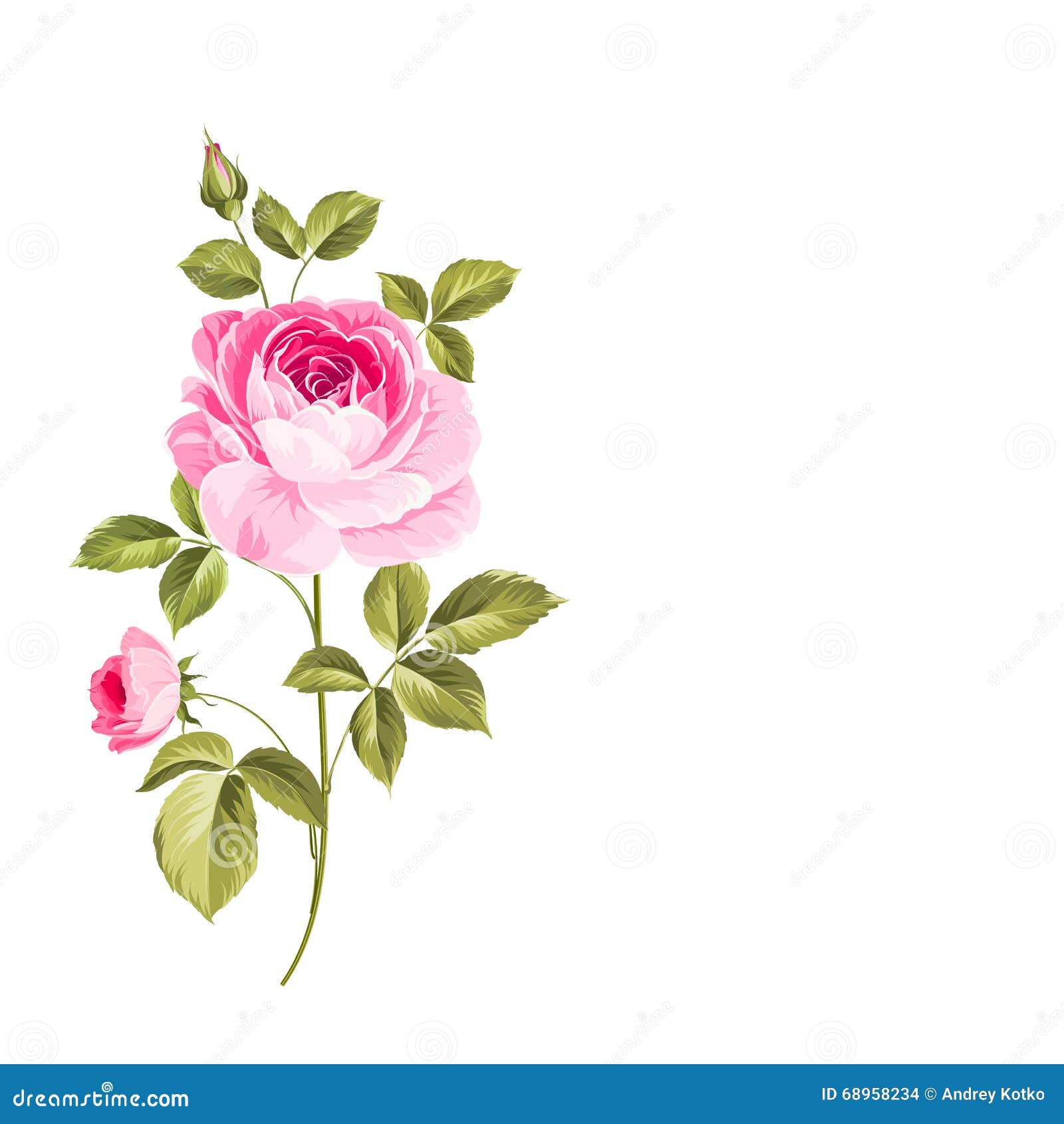 The Blooming Rose. stock vector. Illustration of petal - 68958234