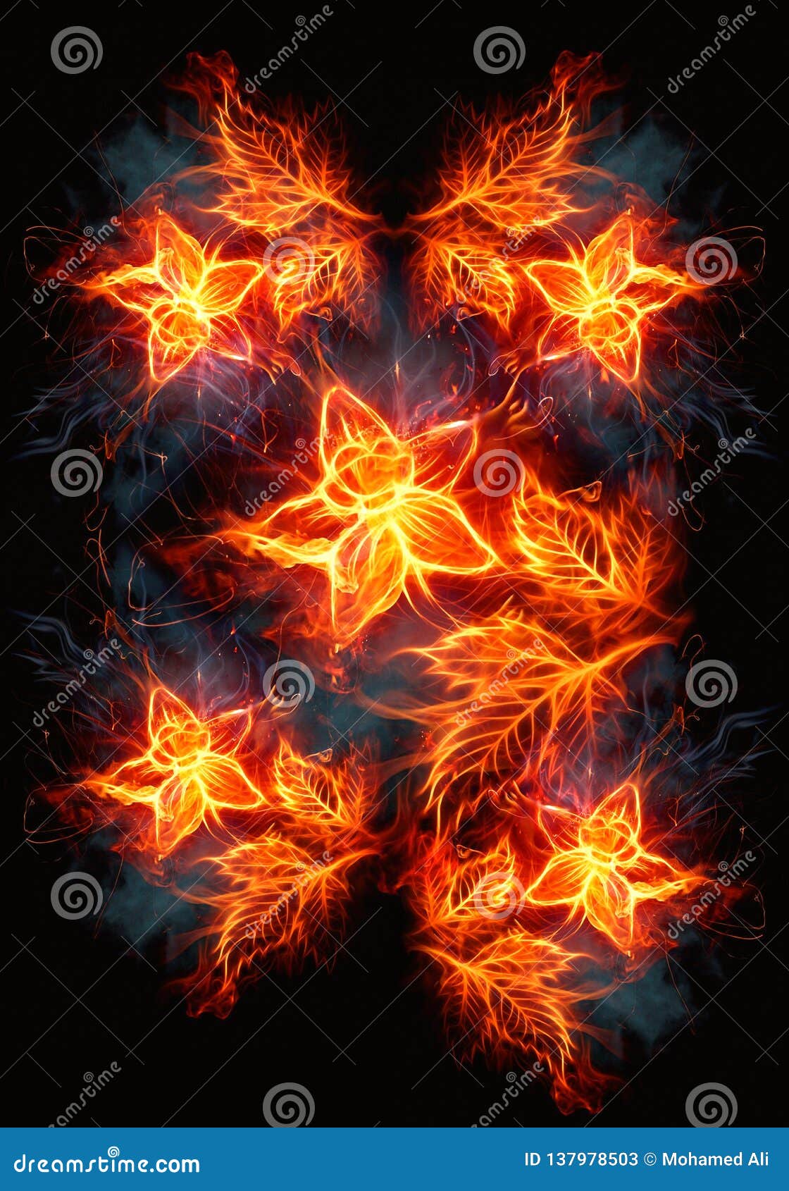 Blooming Roses From Fire And Flames Artwork On A Black Background Stock