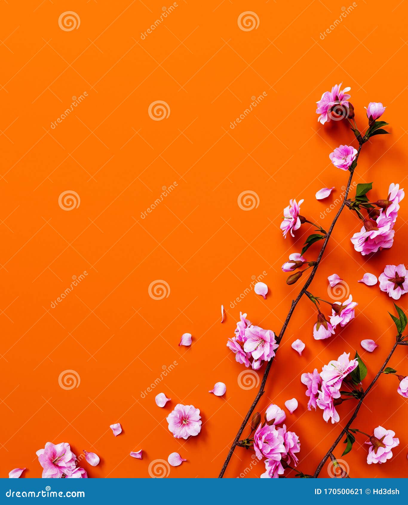 Blooming Tree with Pink Flowers on Orange Background Stock Illustration Illustration of