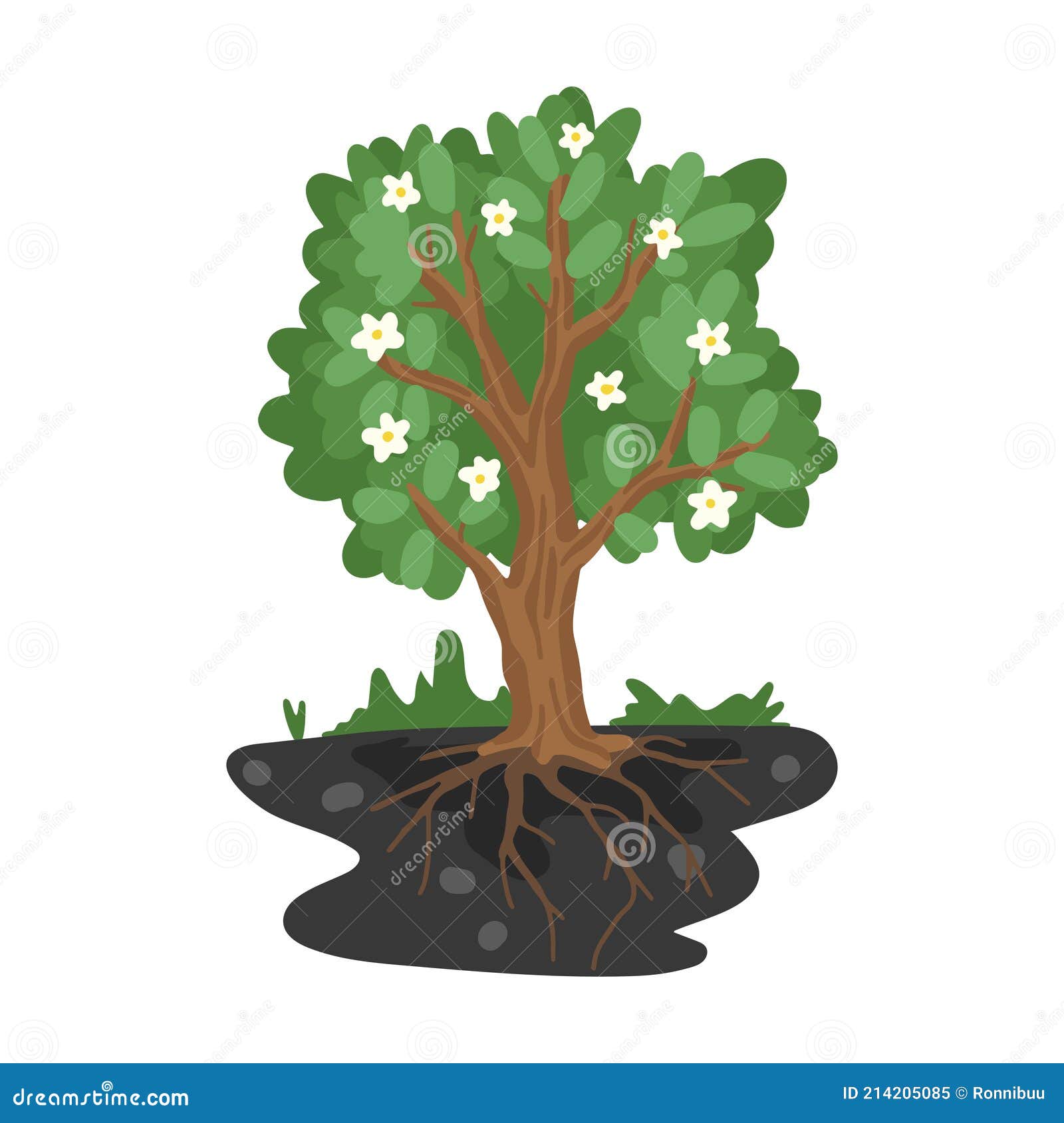 Blooming Tree with Roots in the Ground. Sectional Land. Tree Growth  Illustration. Vector Flat Cartoon Drawing Stock Vector - Illustration of  element, phases: 214205085