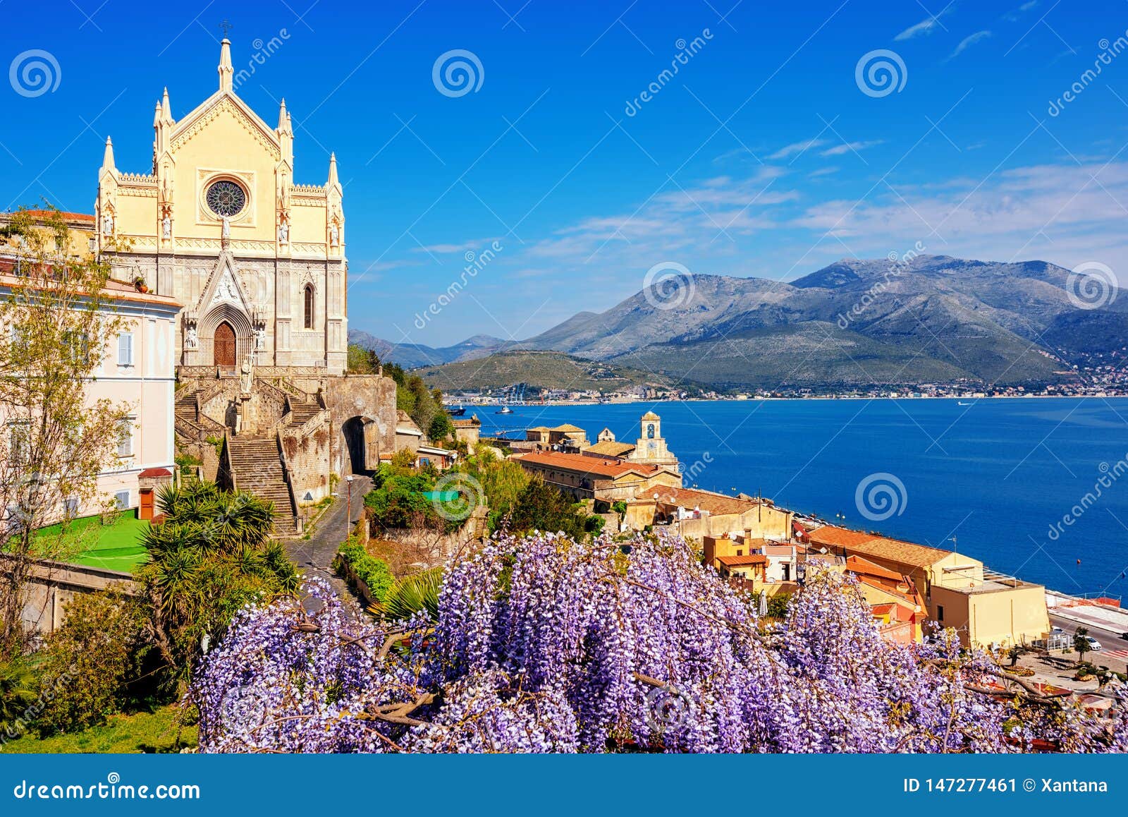 Blooming Wisteria Flowers in Gaeta Old Town, Italy Stock Image - Image ...