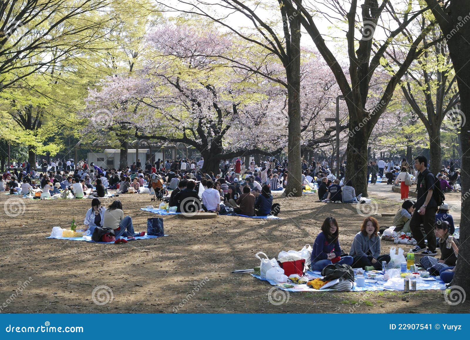 Best time to go to tokyo