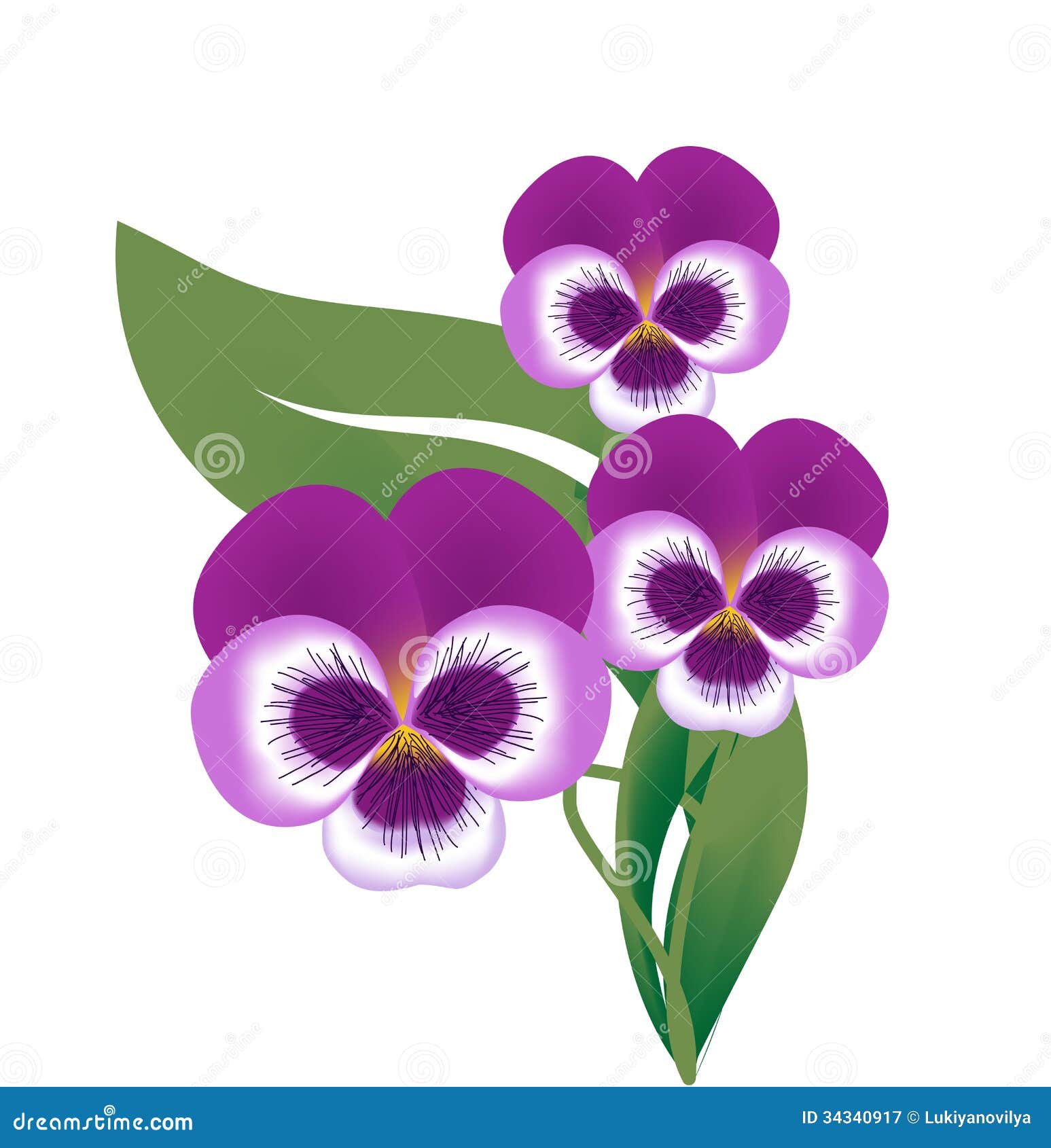 blossom of violet flower