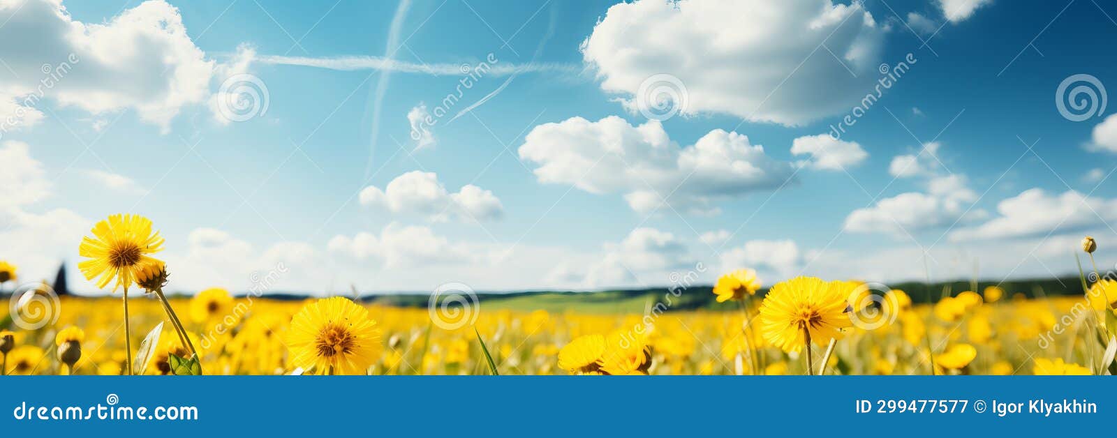 blossoming meadows under the radiant spring sun. a captivating image for nature enthusiasts.