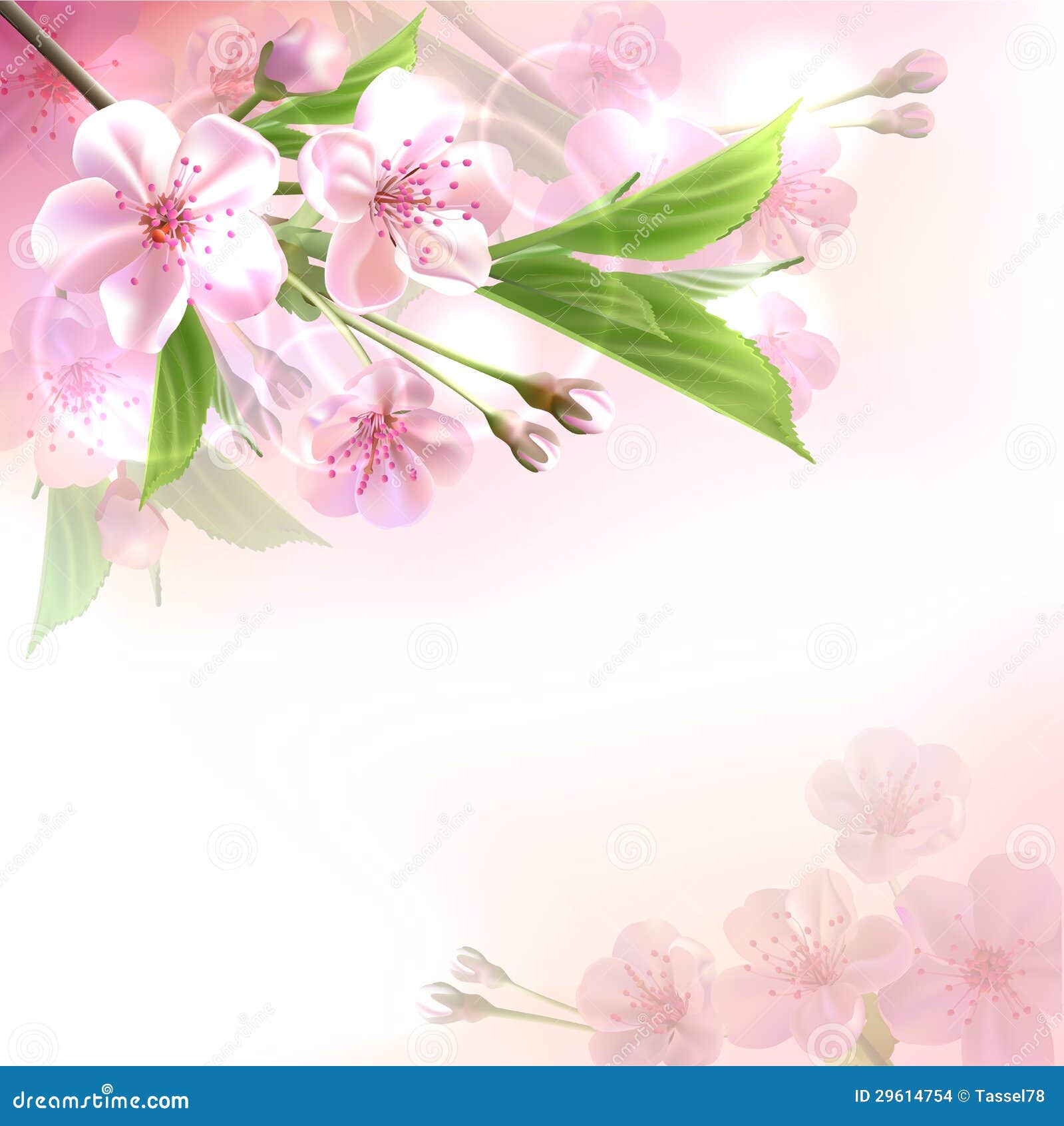 blossoming tree branch with pink flowers