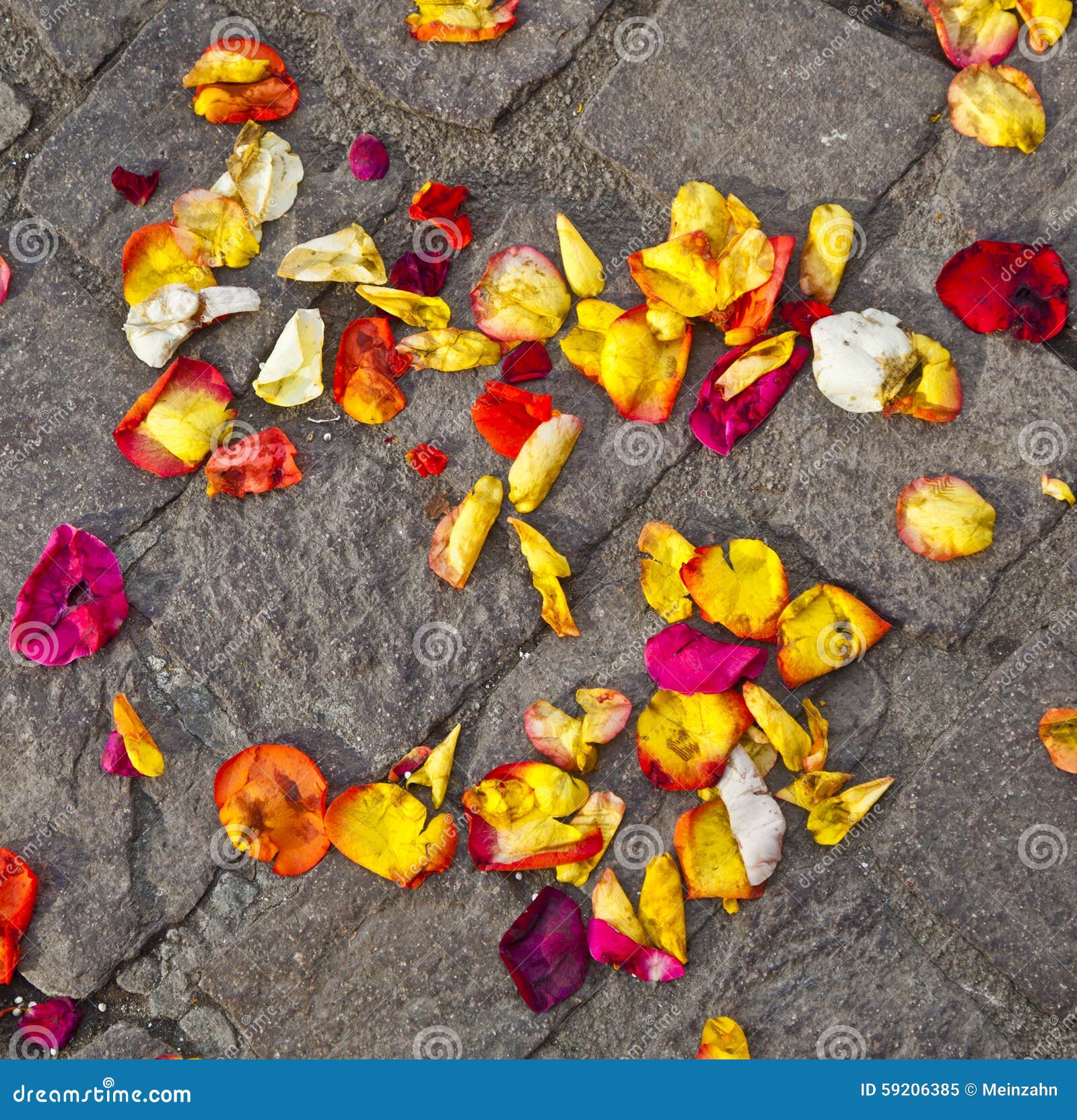 Blossoms of Flowers Lying on the Ground after a Wedding Ceremony Stock