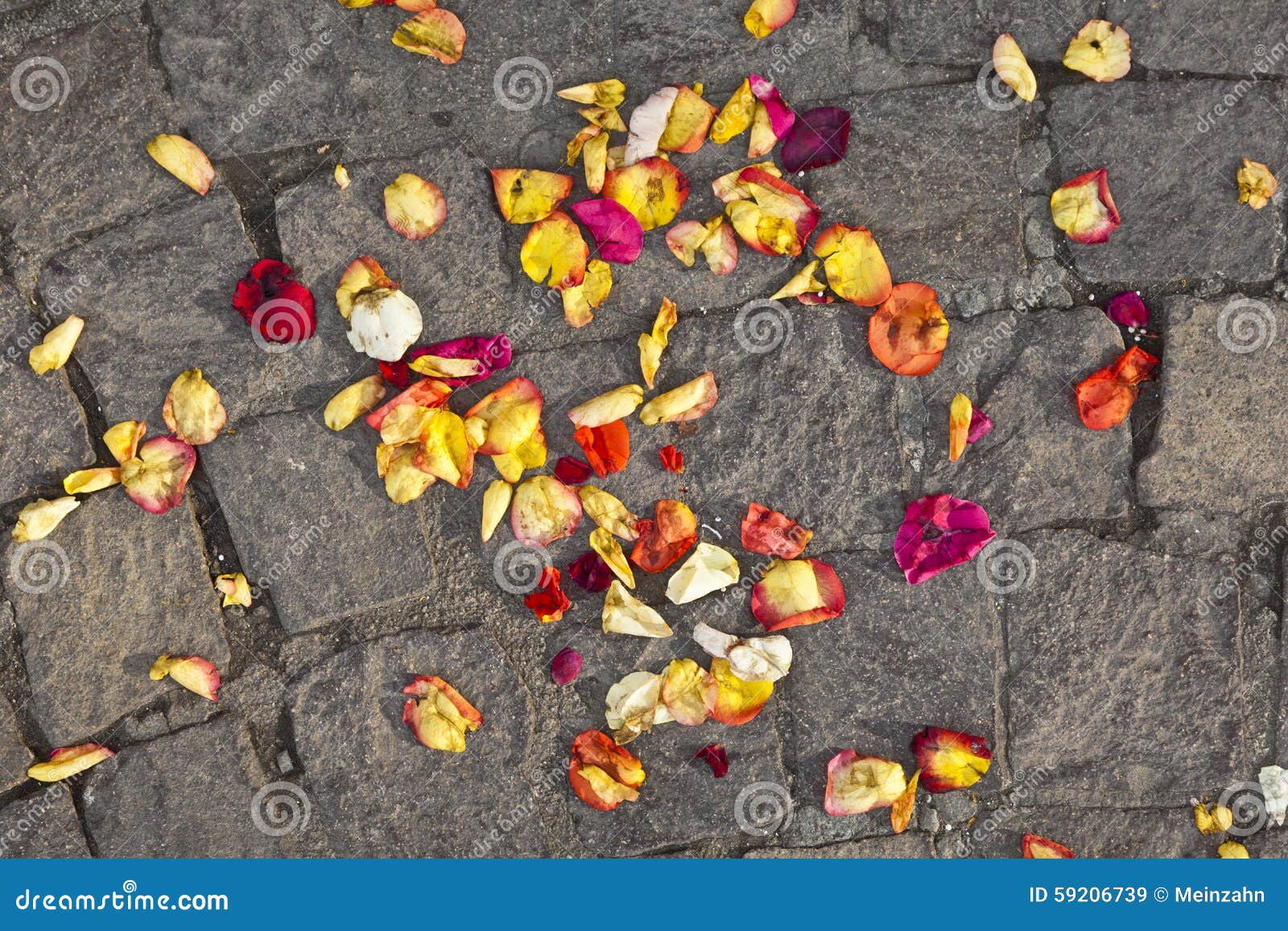Blossoms Flowers Lying Ground Wedding Ceremony Stock Photos Free