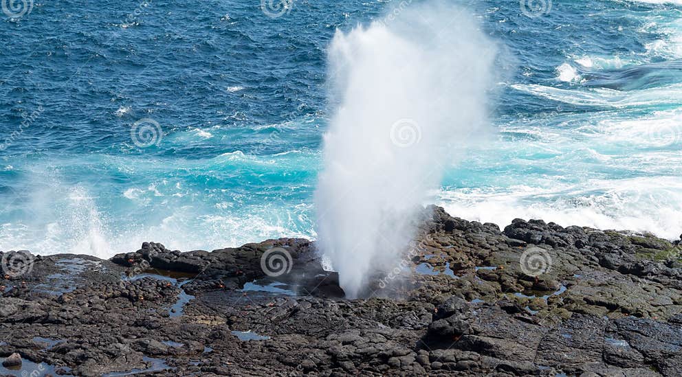 Blowhole at Suarez Point on Galapagos Stock Photo Image of blowhole