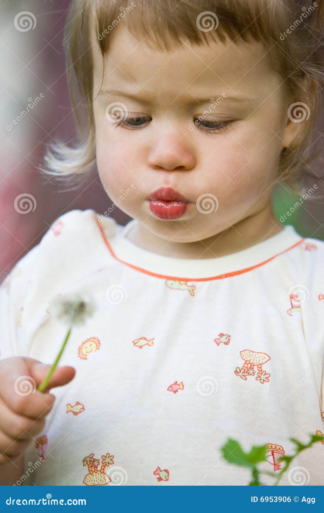 Blowing girl. Children series: little girl are blowing the dandelion