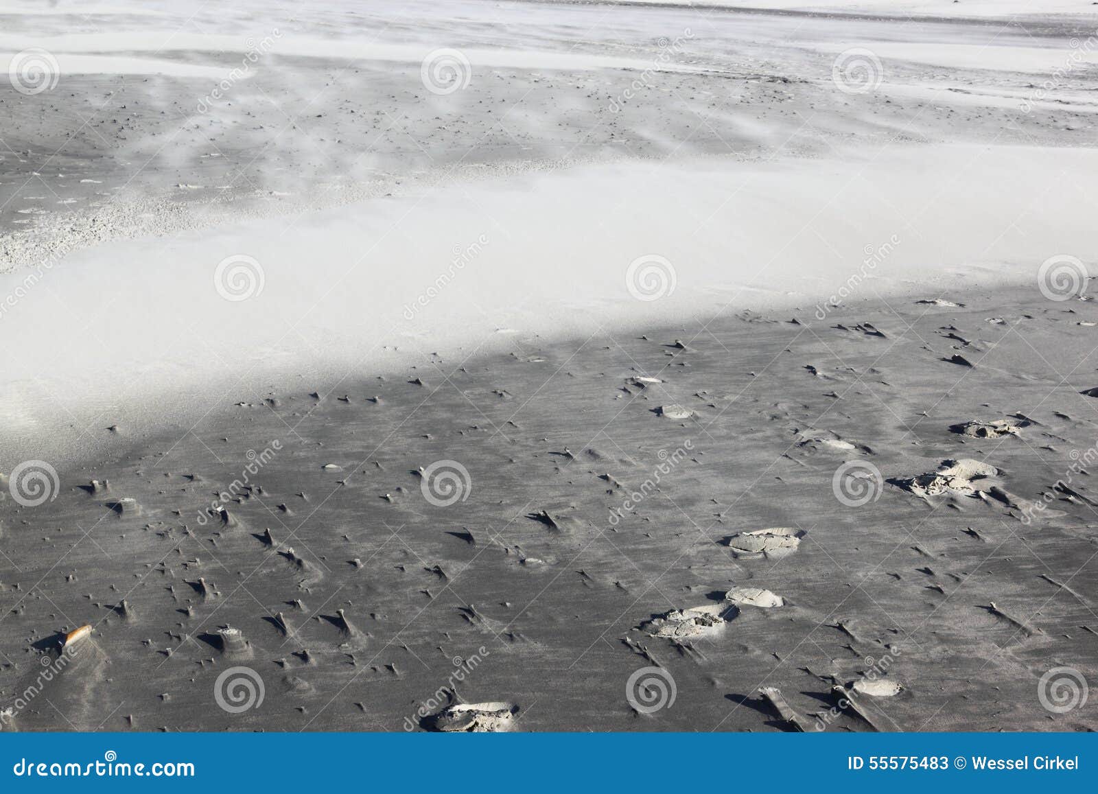blowing wind causes drift-sand at dutch ameland island