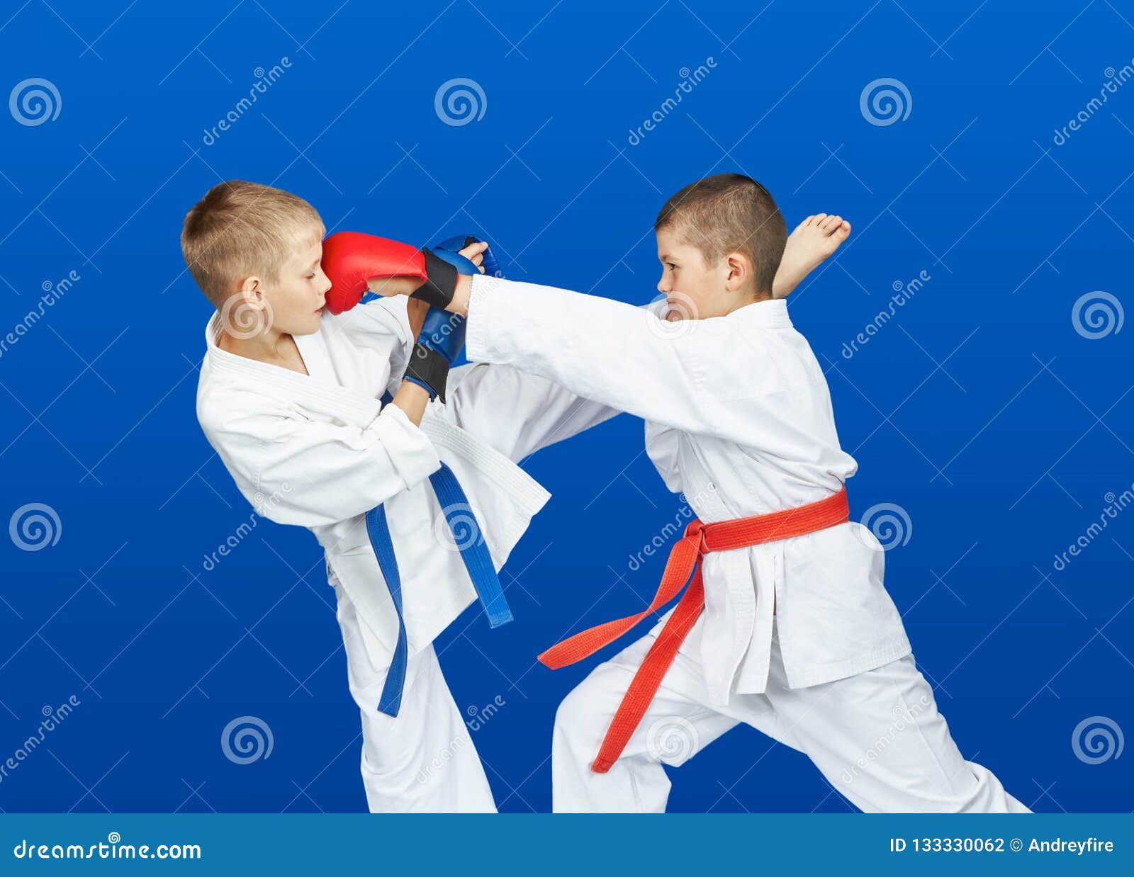 Blows Punching and Kicking in the Performance of Athletes in Karategi