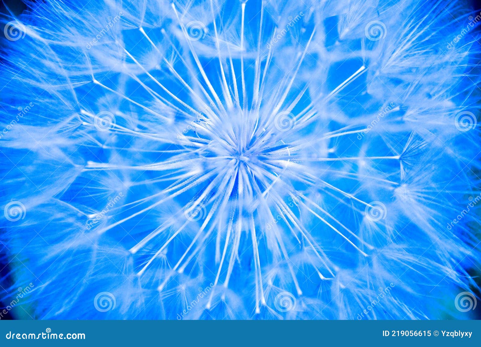 Nature Blue Abstract Background Stock Image Image of blue, colors