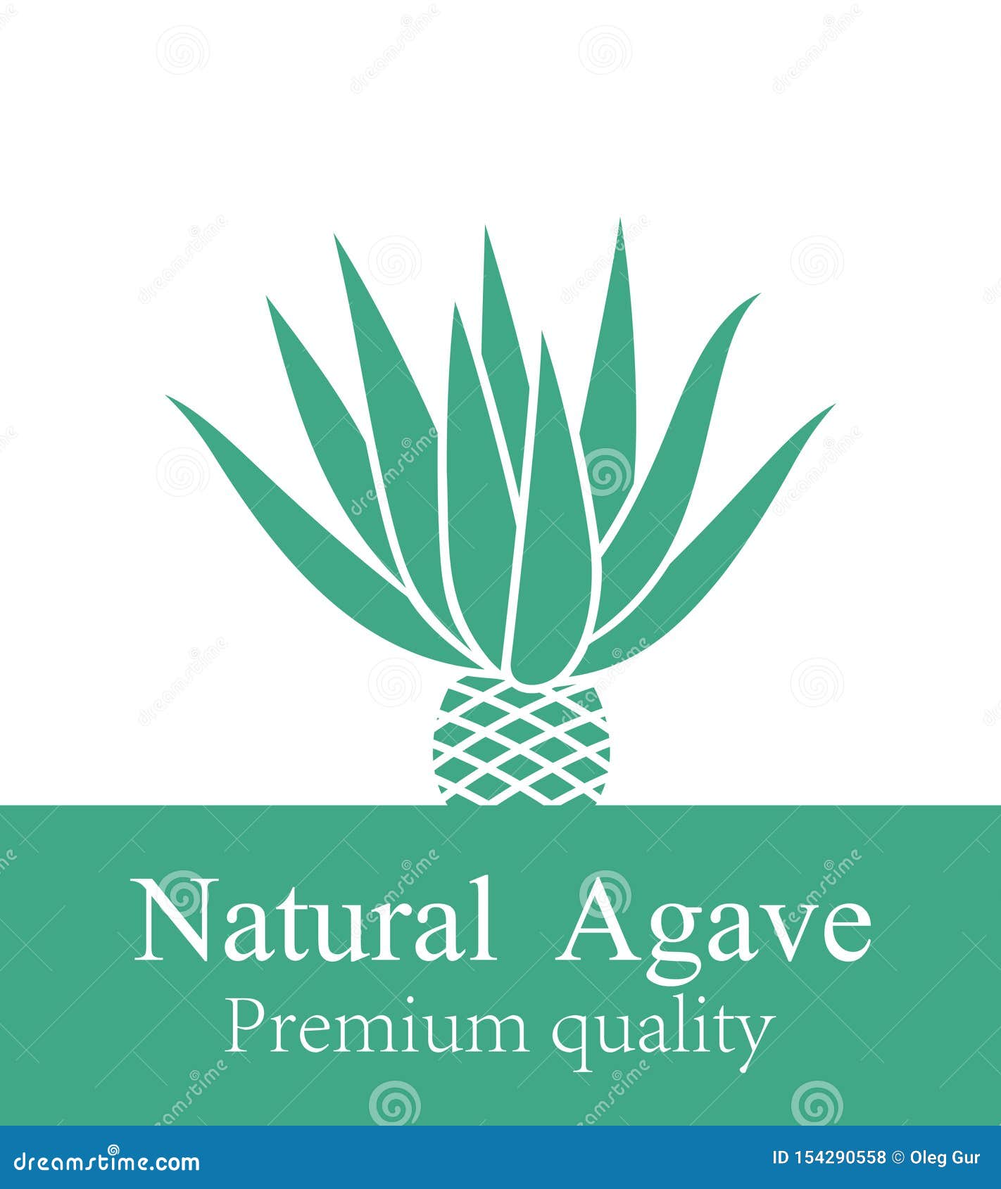 Blue Agave. Isolated Agave On White Background Stock Vector
