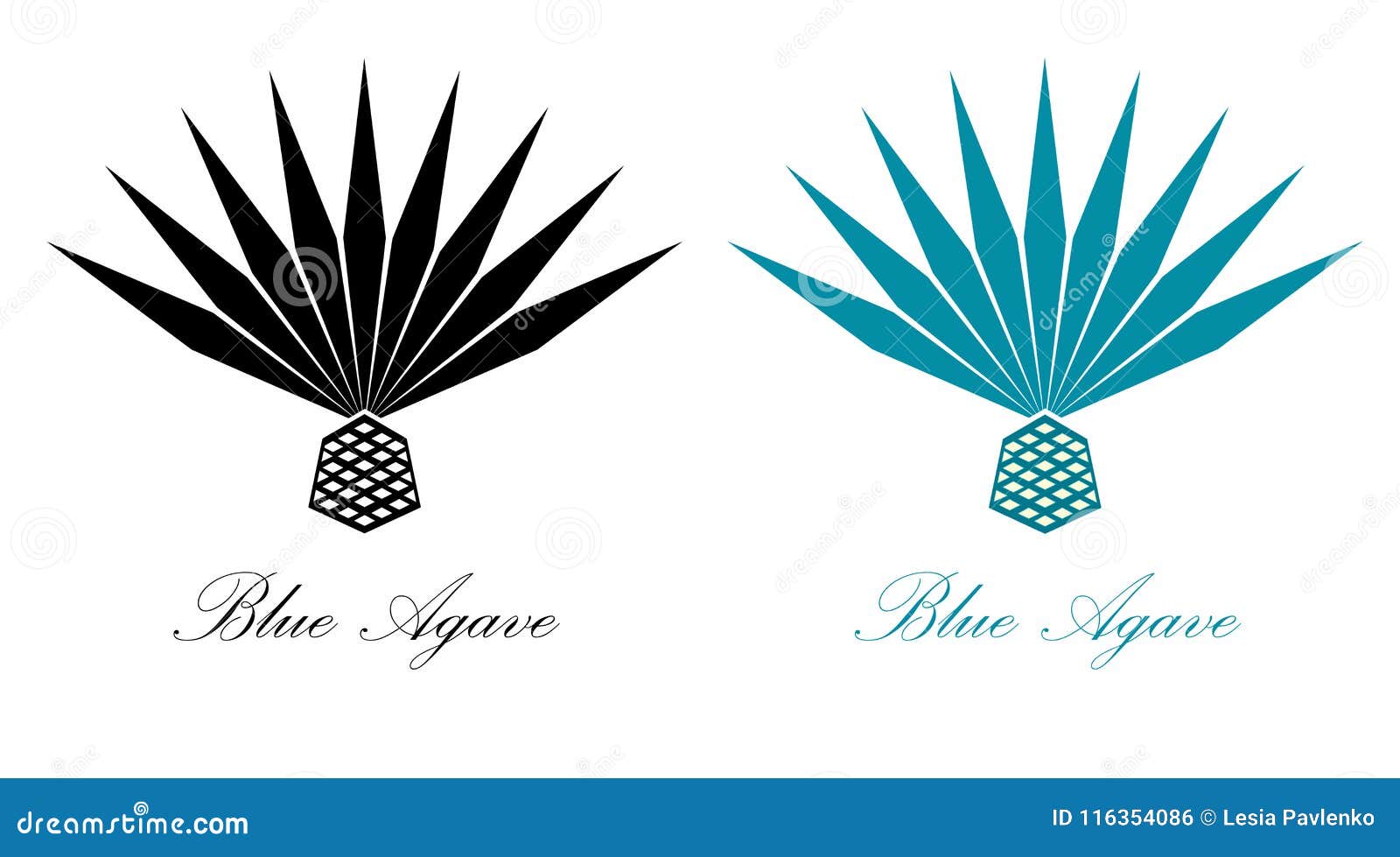 Blue Agave or Tequila Agave Plant. Agave Logo Design Stock Vector