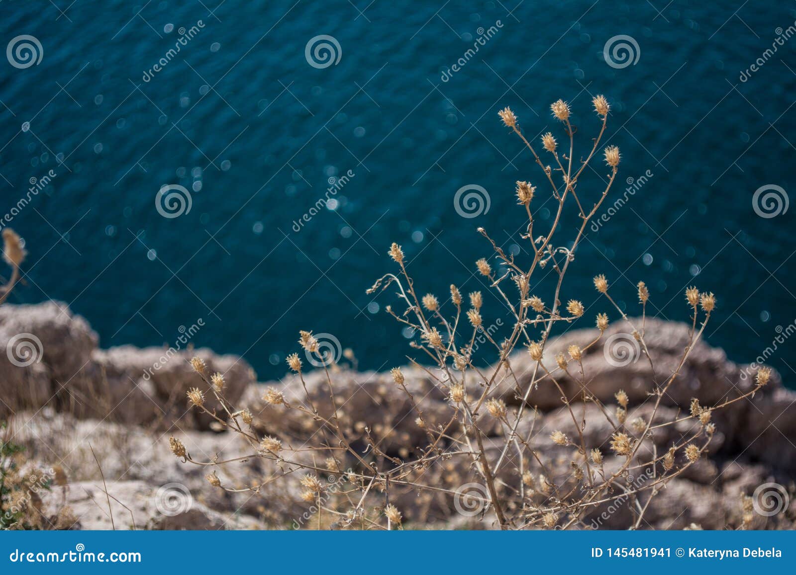 Blue Background. Rock Near Sea. Aesthetic Blue Azure Sea. Wallpaper. a Solid  Background for Design Stock Image - Image of wallpaper, ocean: 145481941