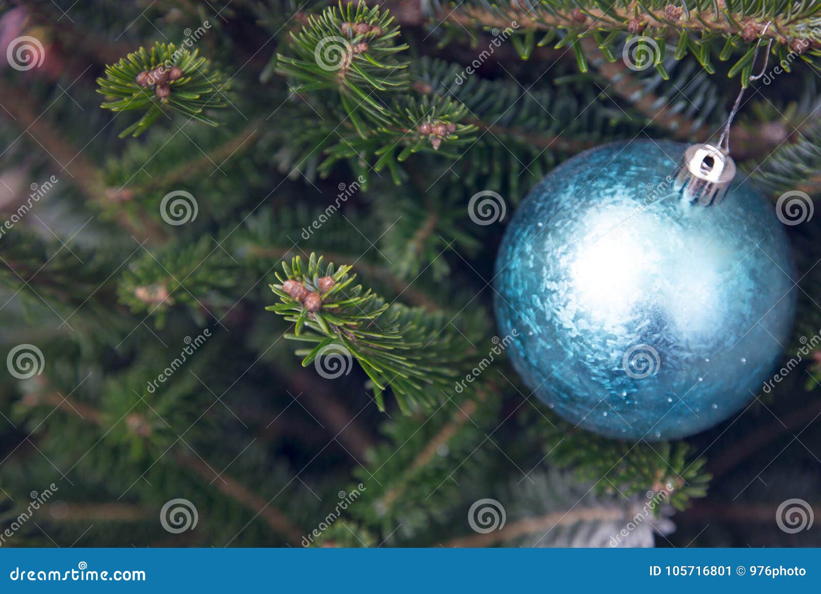 A Blue Ball on a Christmas Tree Stock Image - Image of copy, date ...