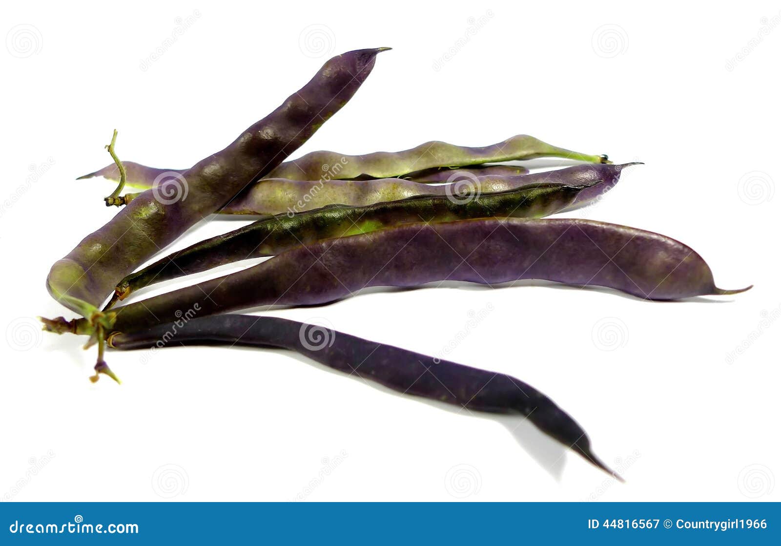 Blue beans stock image. Image of food, cook, taste, kitchen 44816567
