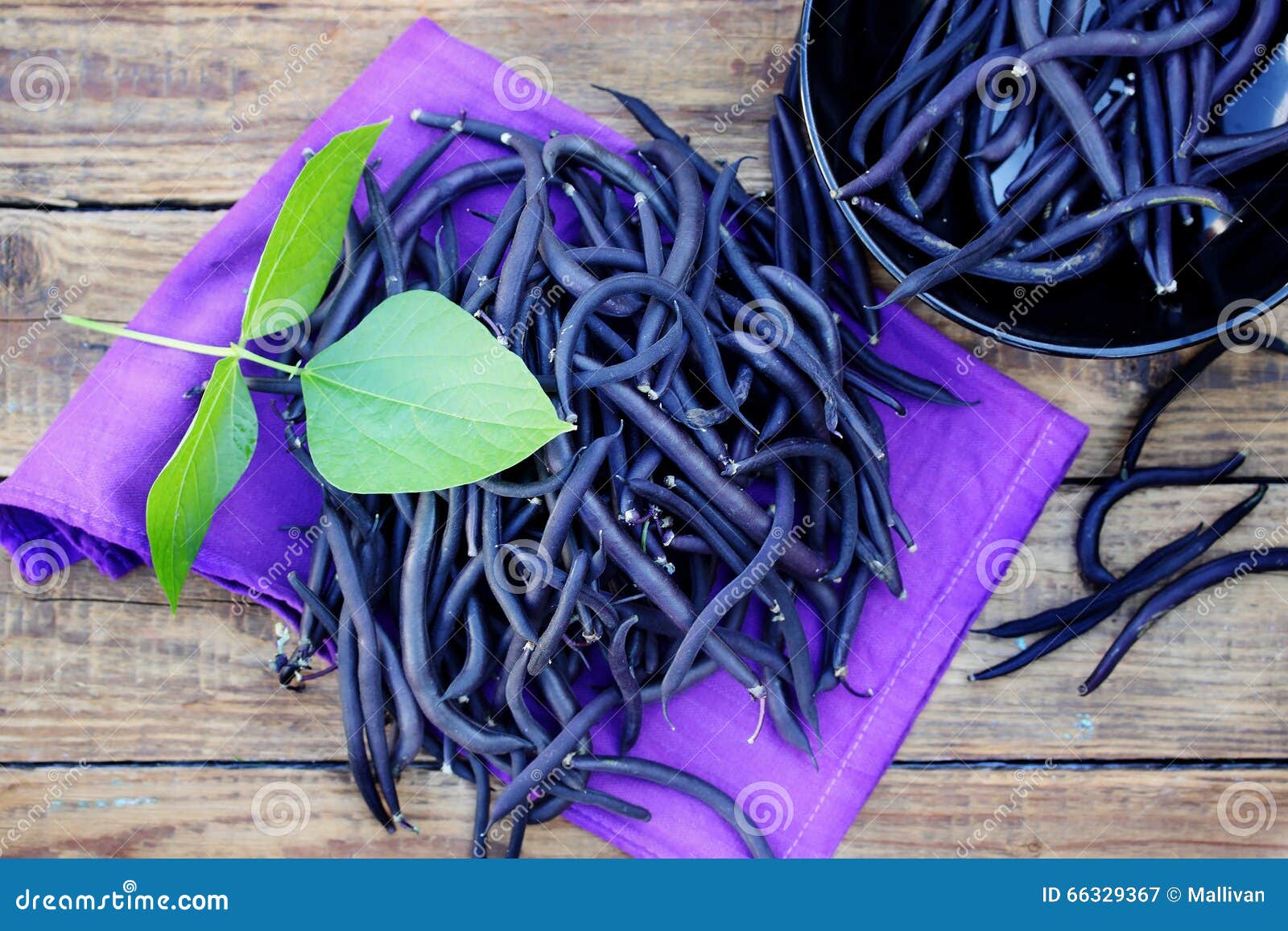 Blue Beans on a Wooden Table Stock Image Image of legume, organic