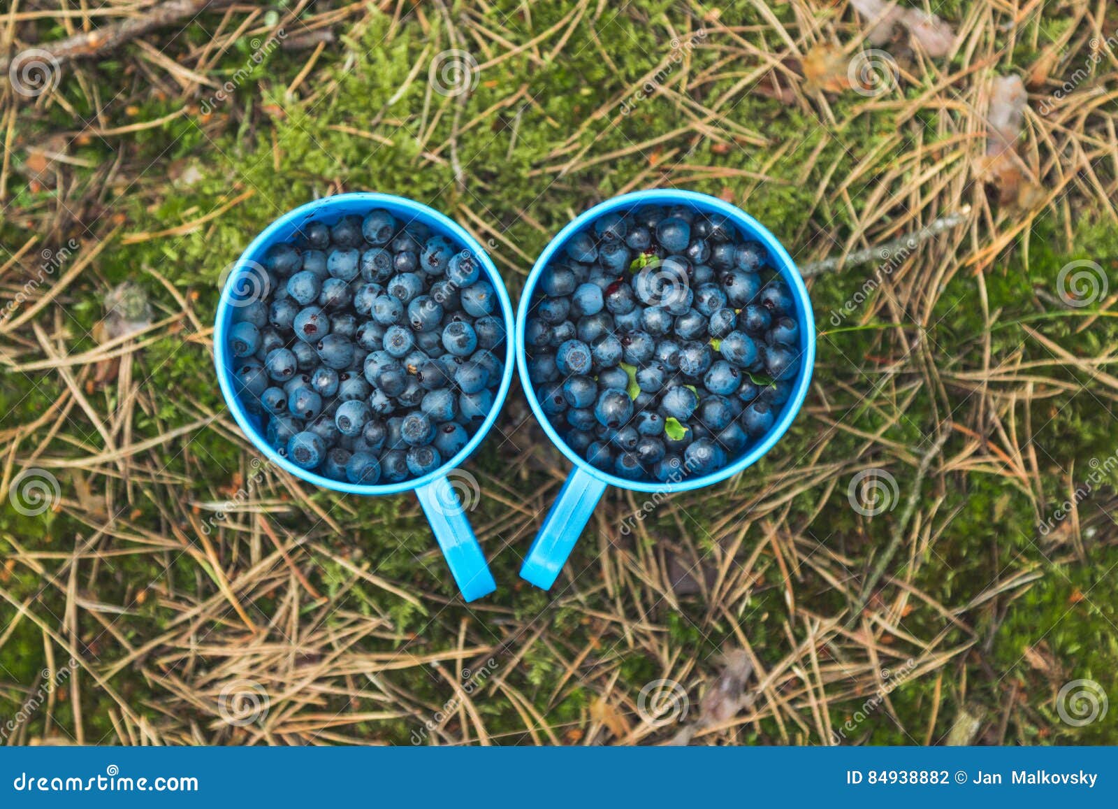 Blue Berries in Plastic Cups Stock Photo Image of colecting, vitamins