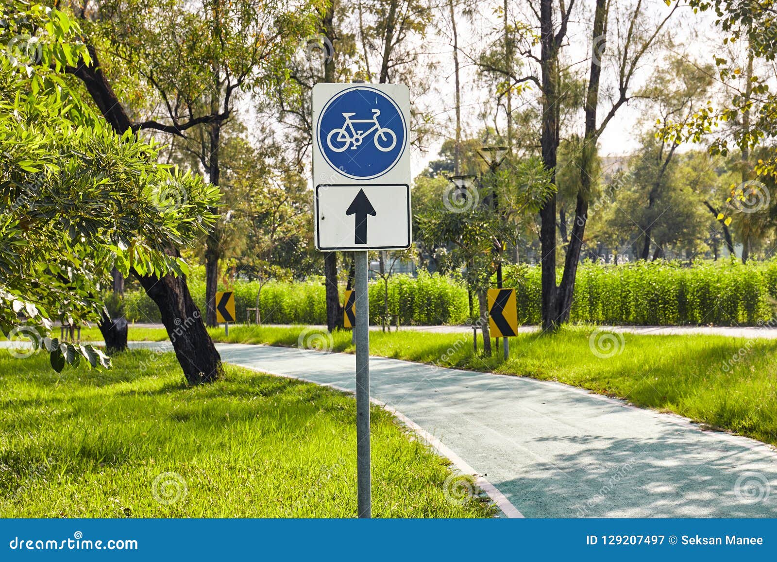 Велосипедная дорожка возраст. Велосипедная дорожка. Велосипедная дорожка со знаком. Дорожный знак велодорожка. Знаки для велосипедистов в парке.