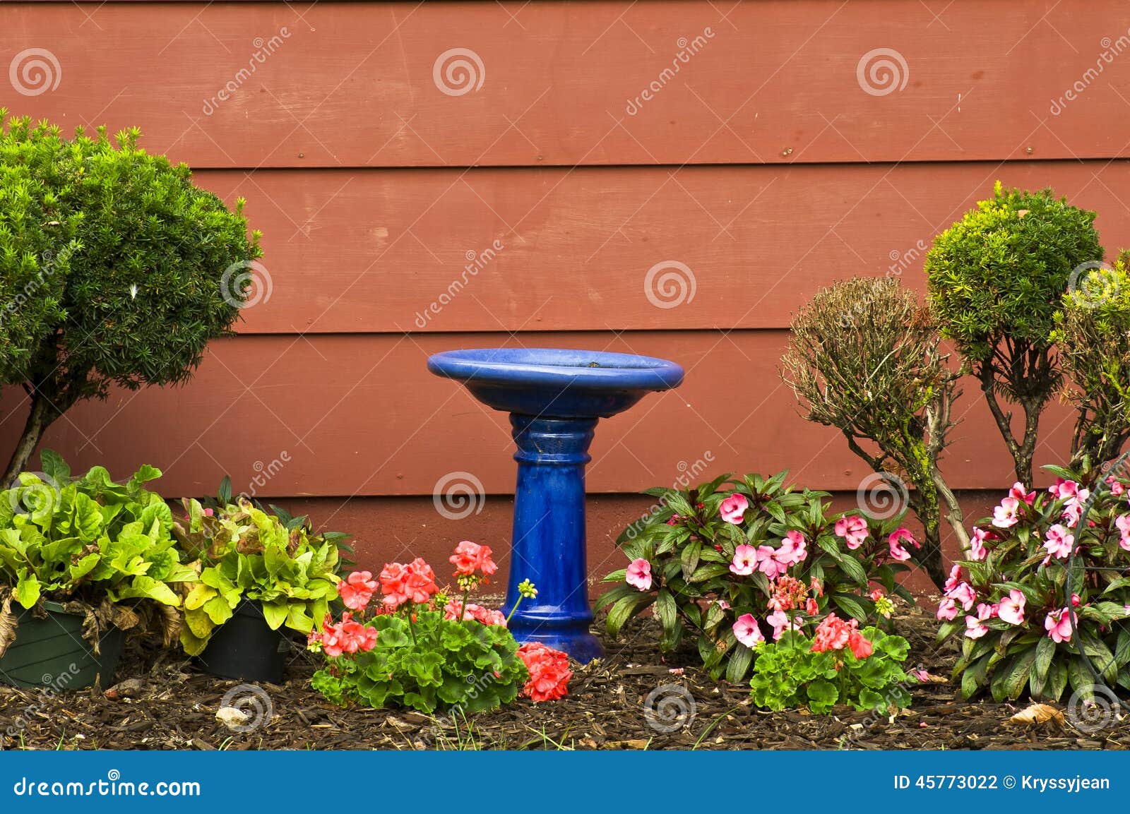 Blue Bird Bath stock photo. Image of garden, wall, energetic 45773022